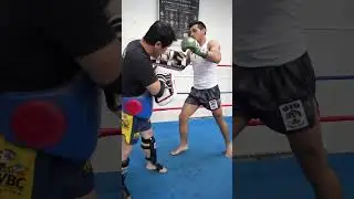 Muay Thai Padwork USA