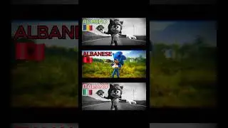 🌀🦔 Sonic in 3 lingue diverse 😂🔥