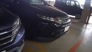 Сравнение Хонда с Тойота