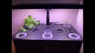 Garden Cube/ Hydroponic Growing System