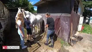 Гасконь Южный Краснодар