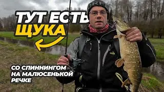 Щука на маленькой речке весной