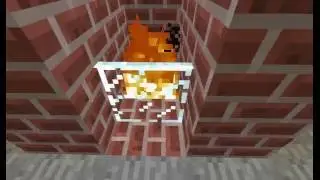 my mc mp home