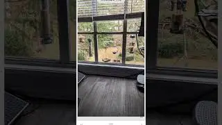Adding Color To A Photo With Snapseed