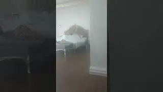 Моя 19-летняя сестра делает зарядку в одних трусиках