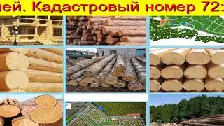 Пиловочник Тюмень Недорого