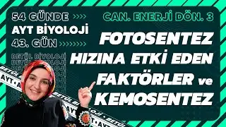 43) Fotosentez Hızına Etki Eden Faktörler ve Kemosentez | 12. Sınıf | 2024 AYT Biyoloji 43. Gün