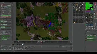 Tibia - Mamma Longlegs - Retro Elite