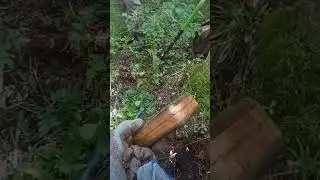 что внутри?