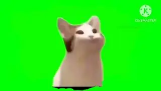 Футаж №1 кот открывающий рот