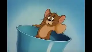 Tom & Jerry #tomandjerry #youtubeshorts #shorts #viral #cartoon