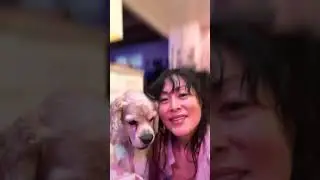 Selfie Trick for dogs ! #dogtricks