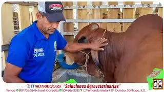 Nutriequus es la Agroveterinaria donde conseguir todo lo que necesites para tus animales.