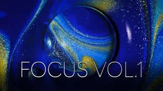 FOCUS VOL.1 // 8K MACRO
