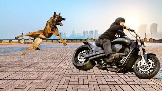 Fiercely Loyal Protectors Of Their Families