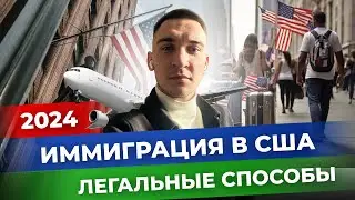 Самые простые способы уехать в США в 2024 году