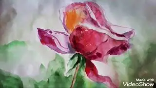 Акварель. Рисую розы.
