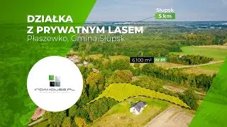 Działka z prywatnym lasem - Na sprzedaż