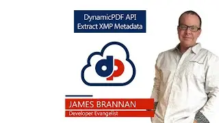 Extract XMP Metadata Using the DynamicPDF API
