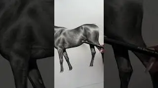 Pov: You love drawing horses 🐴✍🏼 #shorts