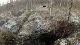 Erämaa jänistä metsästään