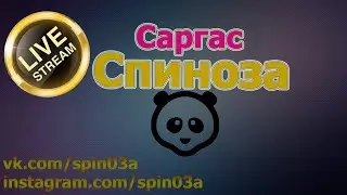Ночная погоня за апом компенда. Спиноза, Саргас.