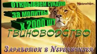 Невервинтер Дроп с сундука за молитвы .Тестовый , за день до выхода 20м.