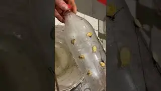 Простая и эффективная мышеловка!!!