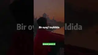 Барчамизга таниш булган холат! 