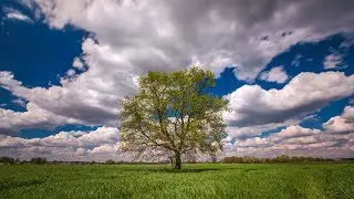 M.Meštrović: Spring (La Primavera) 3 Pianos