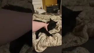 Любовь она такая 😅