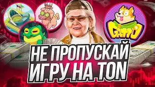Gatto - не пропусти гем на Ton! Зарабатываем в игре без вложений!