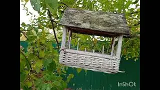 #ПОСЛЕДНИЙ ДЕНЬ ОКТЯБРЯ 🍁🍁🍁 #