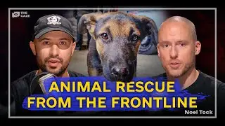 Animal Rescues Amid War: Inside Ukraine's Frontline Efforts | Expats In Ukraine