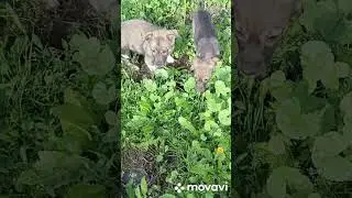 как же хорошо, когда всё хорошо👍👍👍👍 😊😊😊
