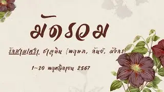 มัดรวม #รักสามเศร้า ธาตุดิน (พฤษภ, กันย์, มังกร) 1-30 พฤศจิกายน 2567