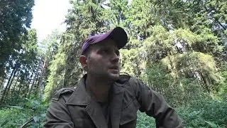 Куча серебряных монет на фундаменте. Шурф. Золотая лихорадка.