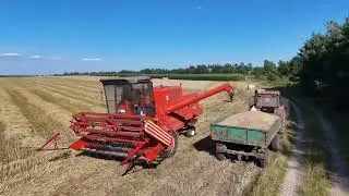 ✓ŻNIWA 2024✓ŻYTO POD KOSE✓PRESOWANIE SŁOMY✓