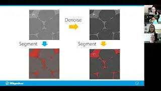 Rigaku X-ray CT Image Processing Workshop - Image Processing Using Dragonfly