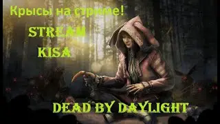 💖Dead by Daylight 💖