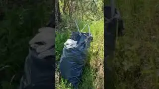 Чистый дон