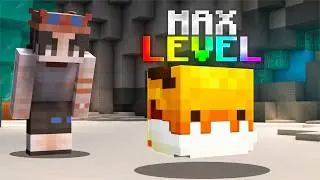 The FASTEST Way To LEVEL UP Pets! | Hypixel Skyblock IRONMAN