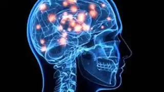 Increase the Concentration and Memory Power