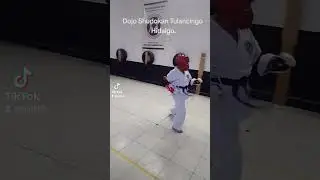 Dojo Shudokan Tulancingo Hidalgo