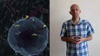 טיפול בפברומיאלגיה