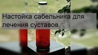 Настойка сабельника для лечения суставов