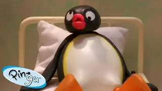Pingu Learning His Lesson! 🐧 | Fisher-Price | Cartoons For Kids