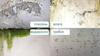 Преимущество Силиконовых красок