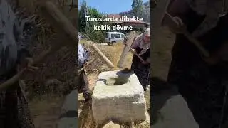 kekik nelere iyi gelir