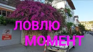 ОТДЫХАЮ В КАШЕ 🐬 ОТРЫВАЮСЬ НА ПОЛНУЮ КАТУШКУ👍 ЛОВЛЮ МОМЕНТ🌴